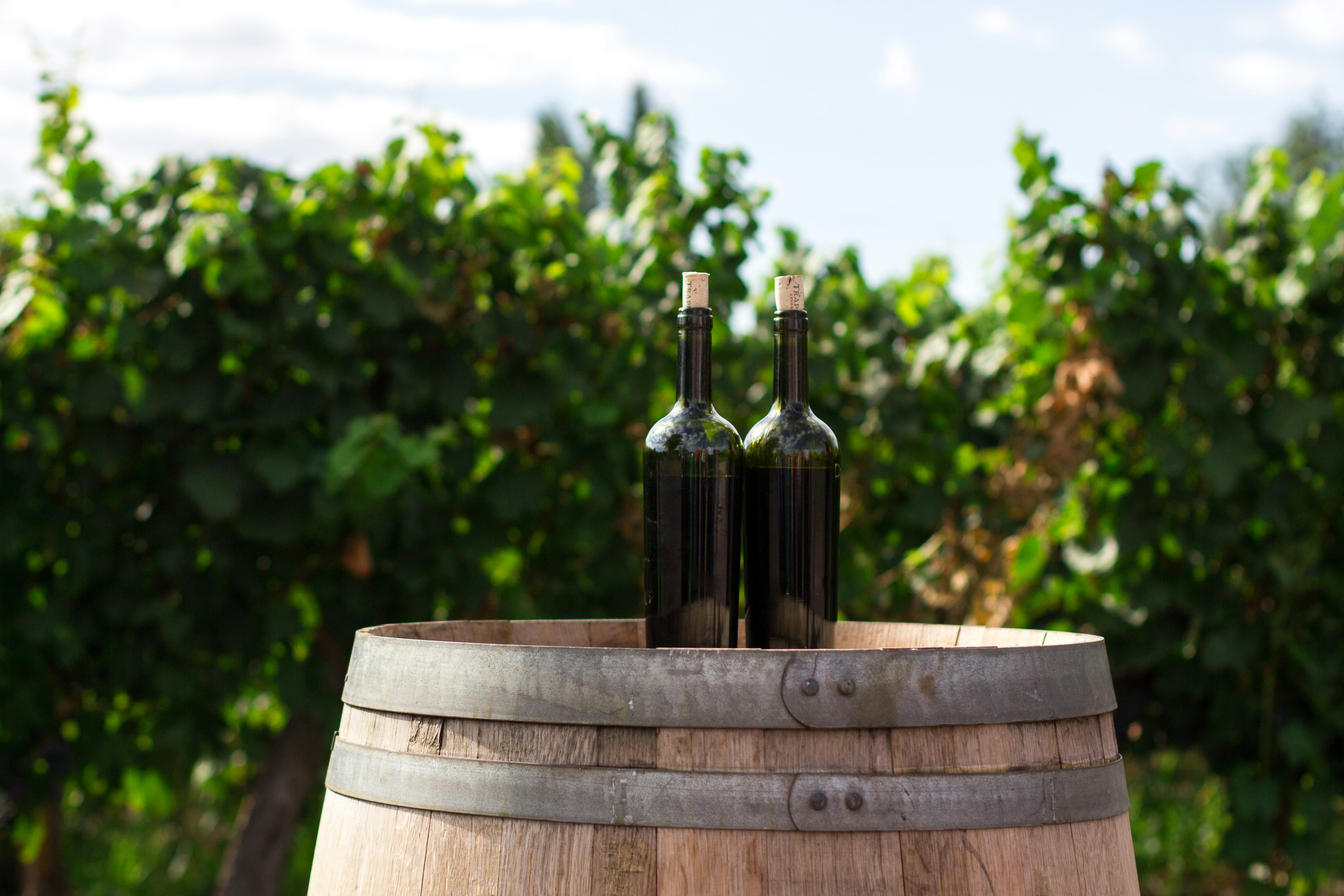 Wine tours